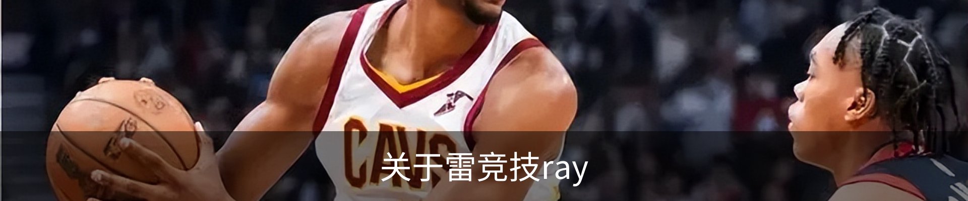 关于雷竞技ray